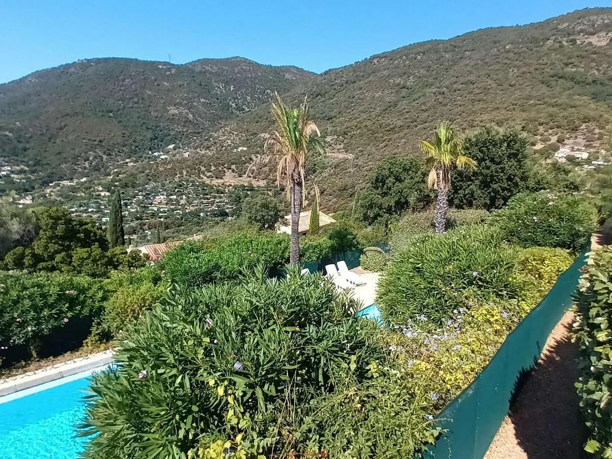 Villa A Cavalaire-Sur-Mer Avec Piscine, Sauna, Parking Et Animaux Acceptes - Fr-1-226B-156 0*,